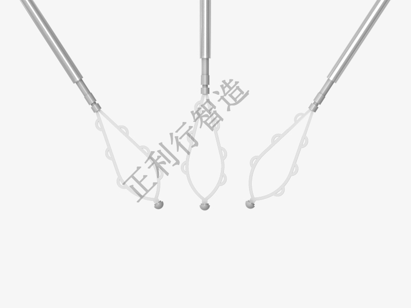 子宮內(nèi)膜取樣器